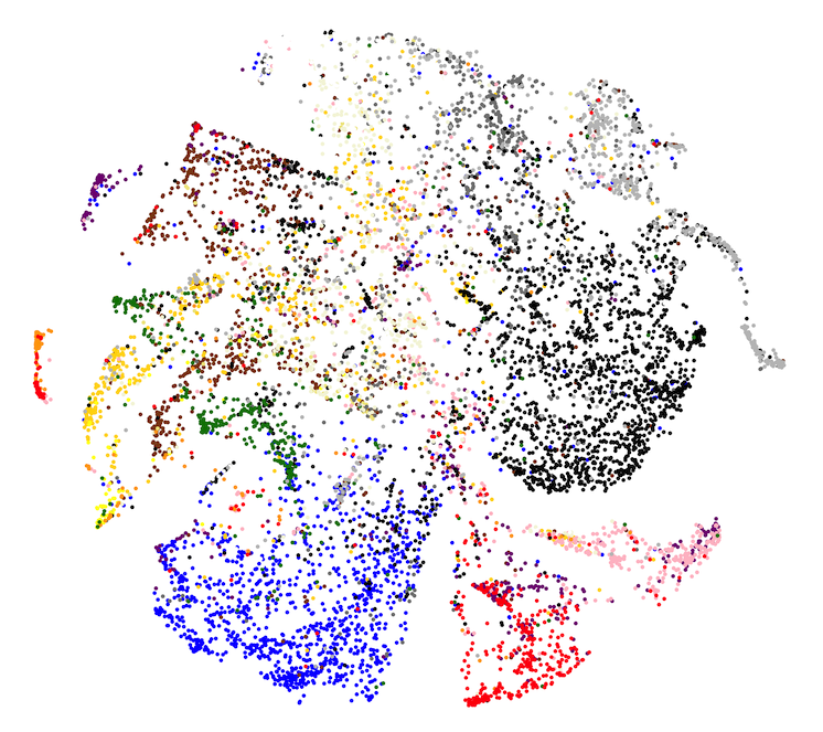 t-SNE of the color representation